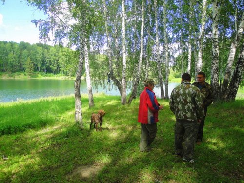 Разговоры