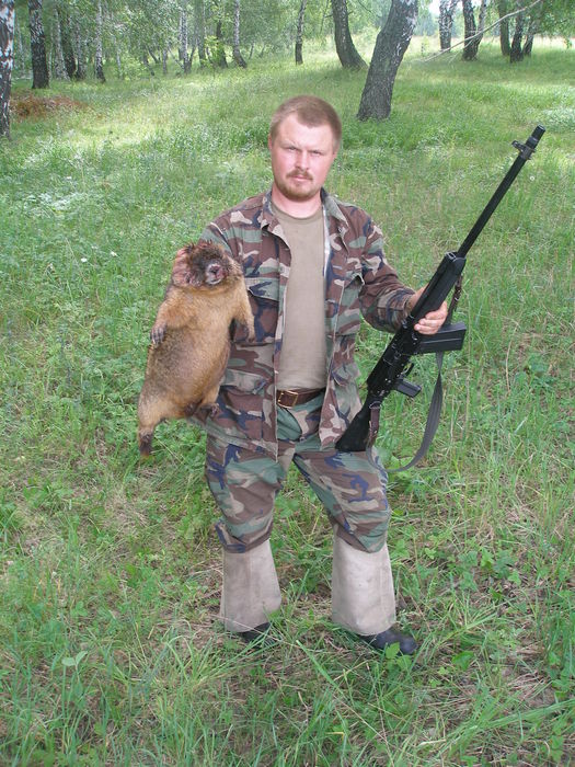 Большой суслик