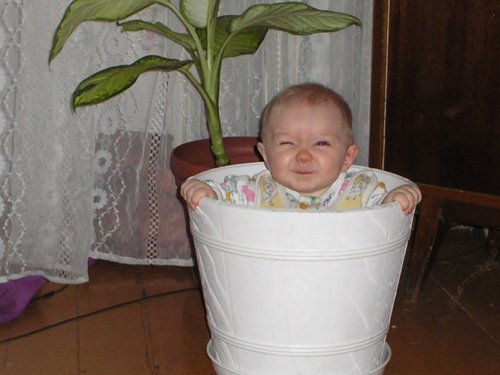 в засаде