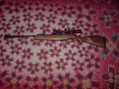 stoeger x20