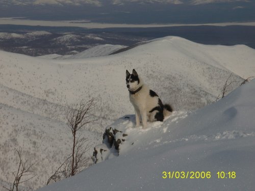охотник...