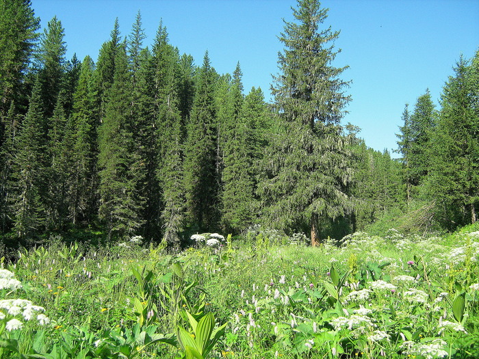Саяны 3.