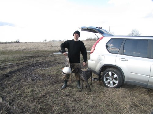 Гуменник (Вологда 2010)