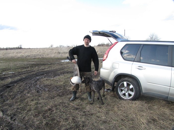 Гуменник (Вологда 2010)