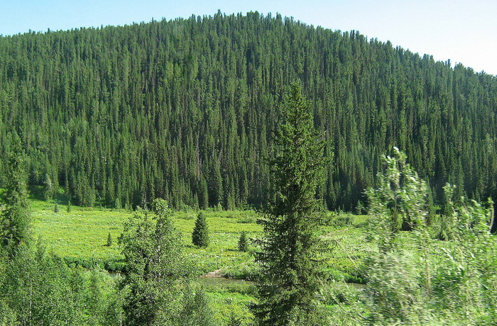Саяны 1.