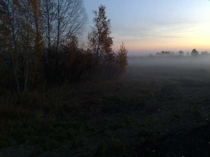 на зорьке
