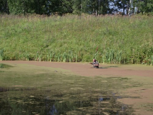 вместо  собаки