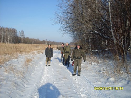 В поисках зайца.