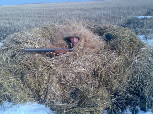 ружо выдает
