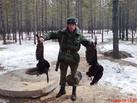 Ворон,плохая птица!