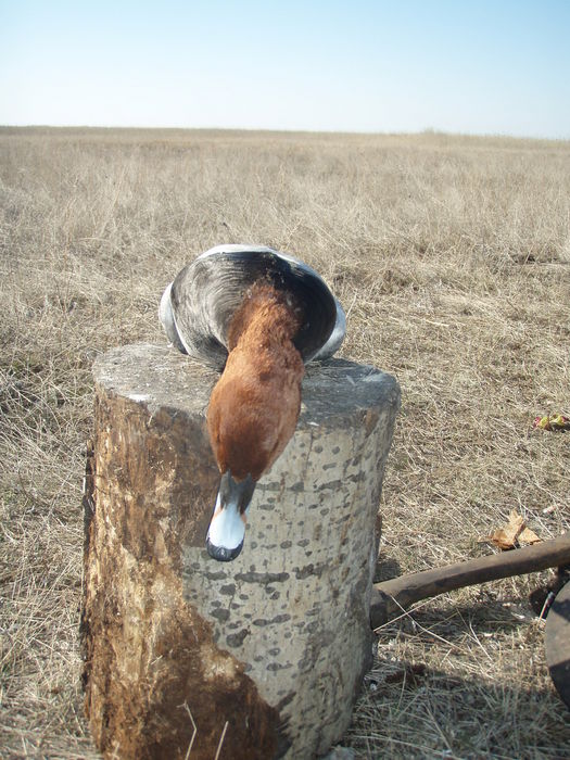 Весна 2010 
