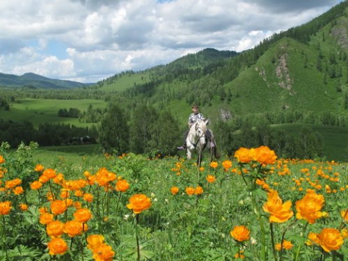 Вернуть силы, бодрость и хорошее самочувствие Вам поможет Природа Горного Алтая!