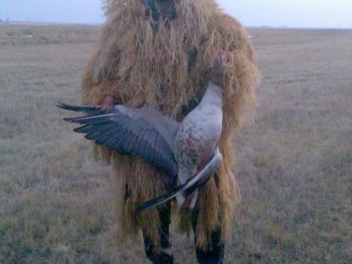 Стар.лей ЧИНГАЧГУК