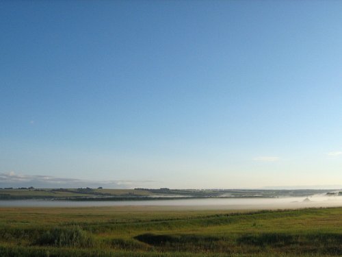 Грибные туманы.