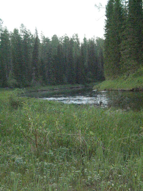 р. Каменка 
