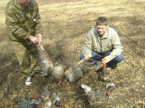 ВЕСНА 2009