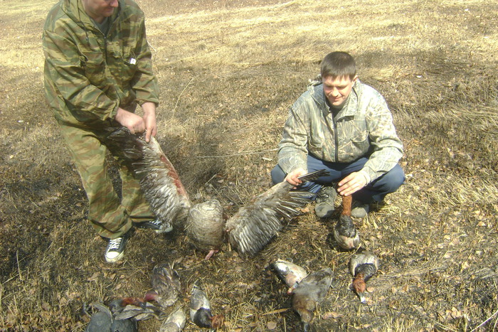 ВЕСНА 2009