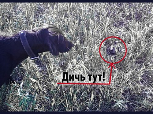 Работаем!