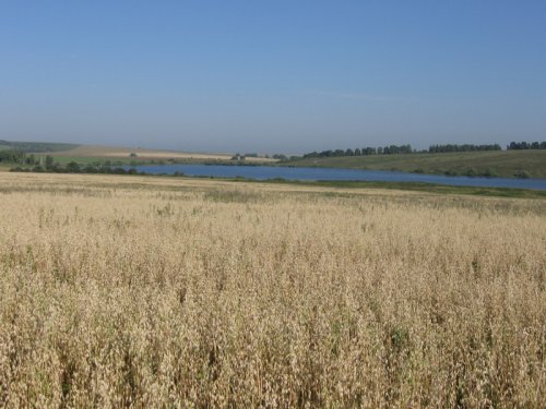 алтай 1 