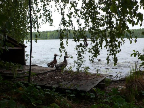 А это озеро -"платник" в уральских горах