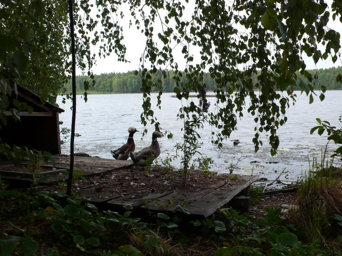 А это озеро -"платник" в уральских горах