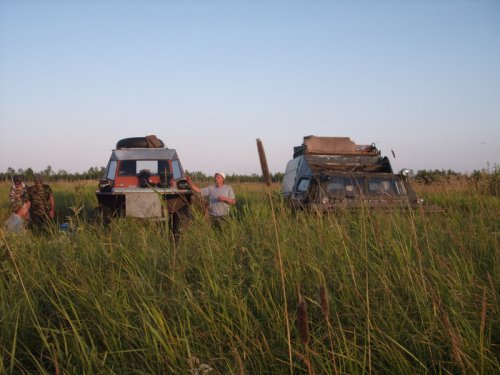 в родной стихии