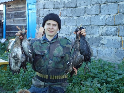 привез домой