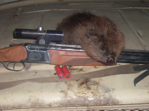 бобрика с оптики... 