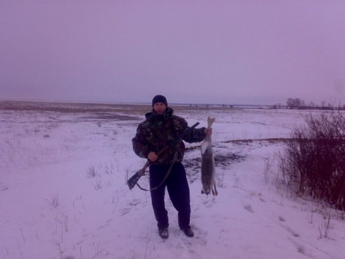 у нары