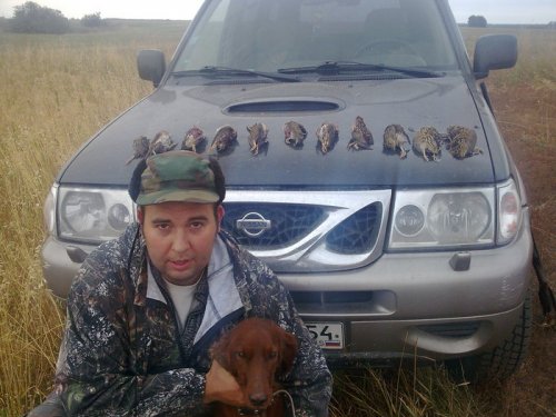 Теперь в поля