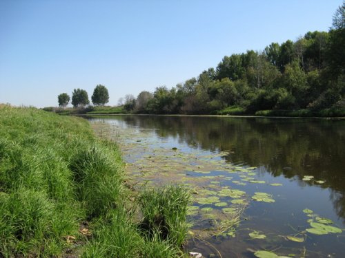 Природа Кашлама.