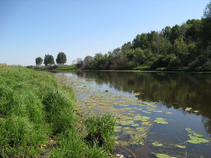 Природа Кашлама.