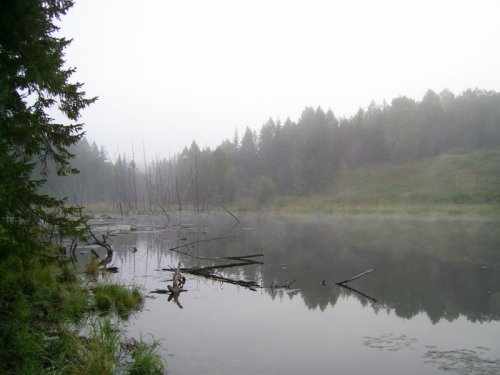 утро 28.08