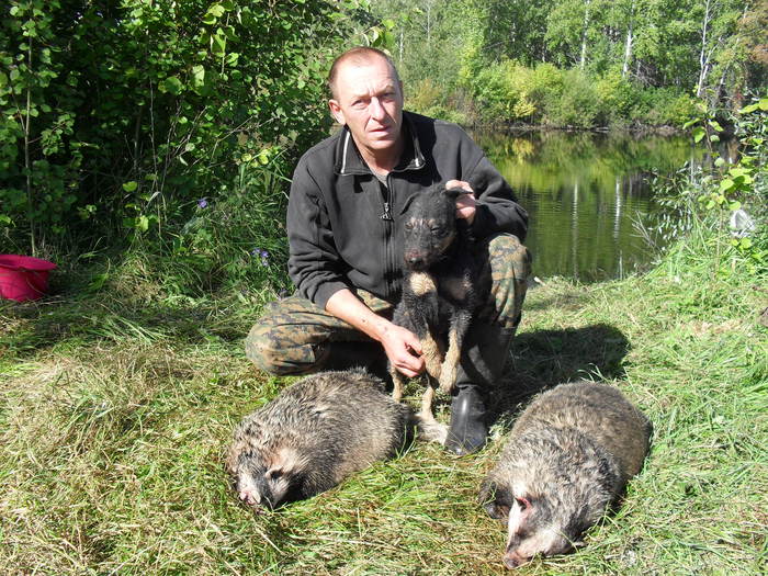 С полем. Шипуново 2010 год.