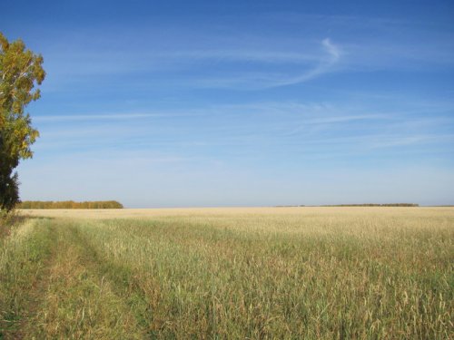 Русь