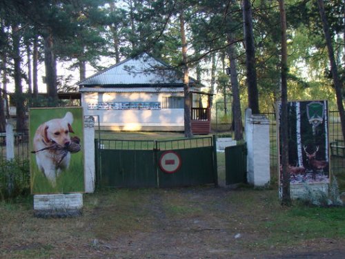 CибВО  Кашламский бор