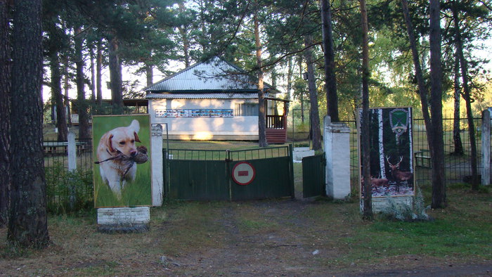 CибВО  Кашламский бор