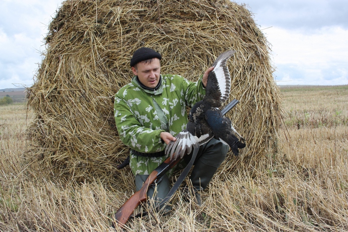 мой первый тетерев