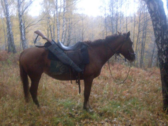 боевая еденица.. 