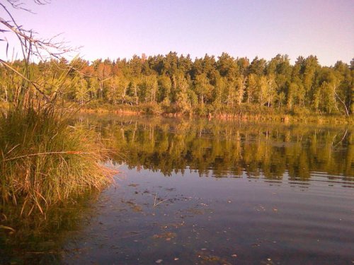 В. Грива
