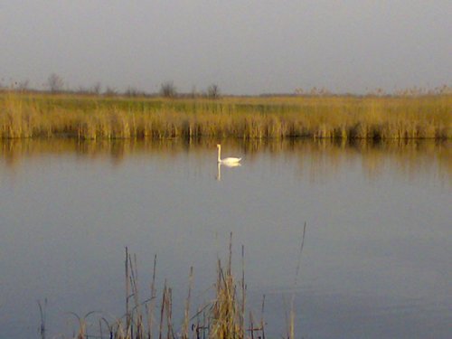 красавец