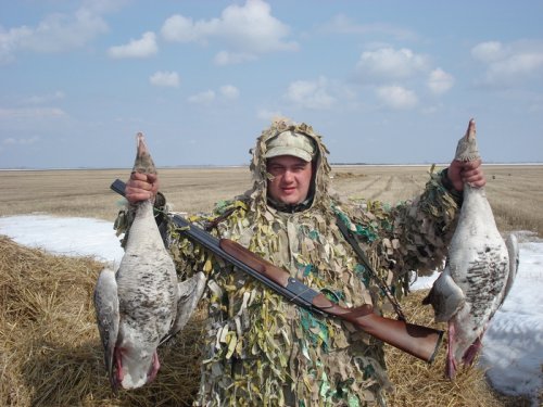 МОИ гуси