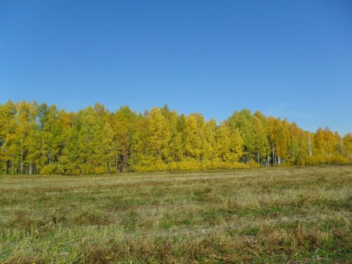 Осенняя пора