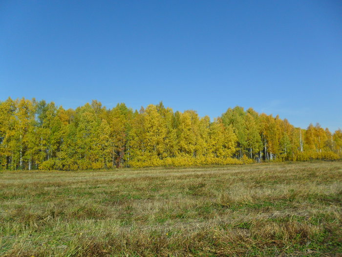 Осенняя пора