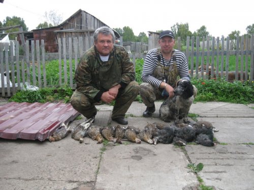 после поля
