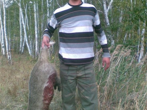 Открытие на барсука 4.09.2010 г.
