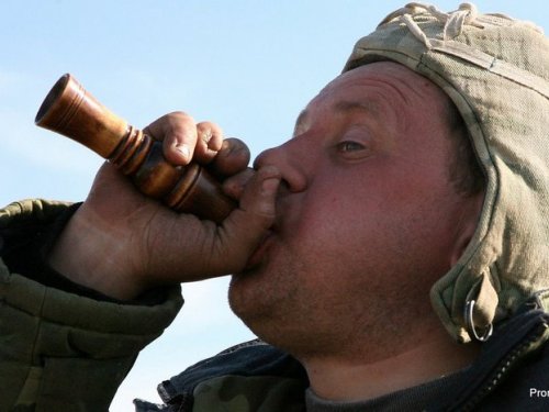 Гусятник