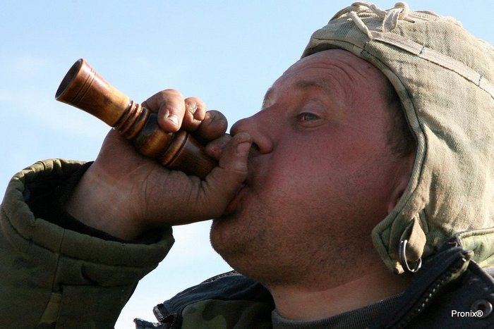 Гусятник