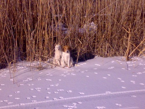 на озере