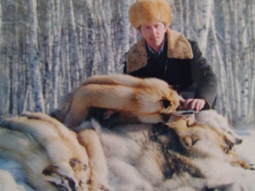 Последняя пушнина,сданная государству 1998г.